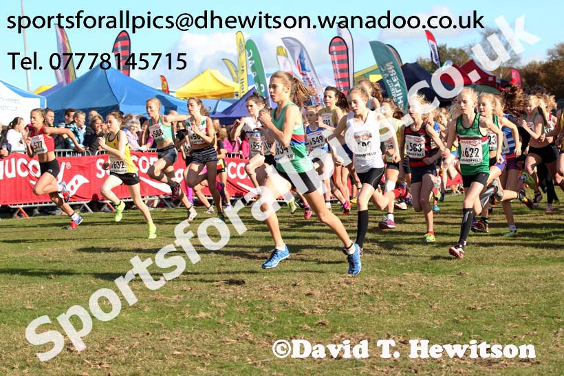 Girls under-13s National Cross Country Relays. Photo: David T. Hewitson/Sports for All Pics